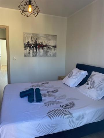 Superbe Appartement En Centre Ville 포르토베쉬오 외부 사진